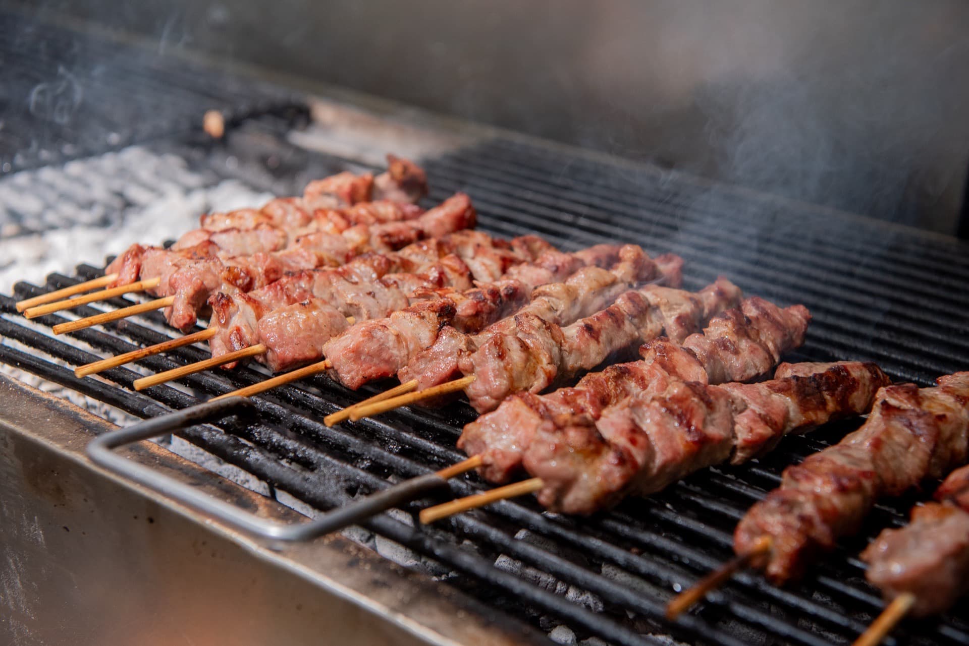 Souvlaki on the coals